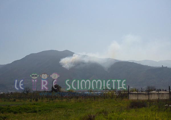 incendio in montagna