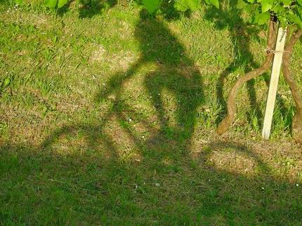 Cicloclub Angri - Pedalata Ecologica