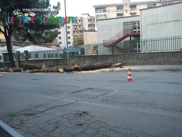 Viale Leonardo da Vinci per taglio alberi dal 02 al 05 Aprile