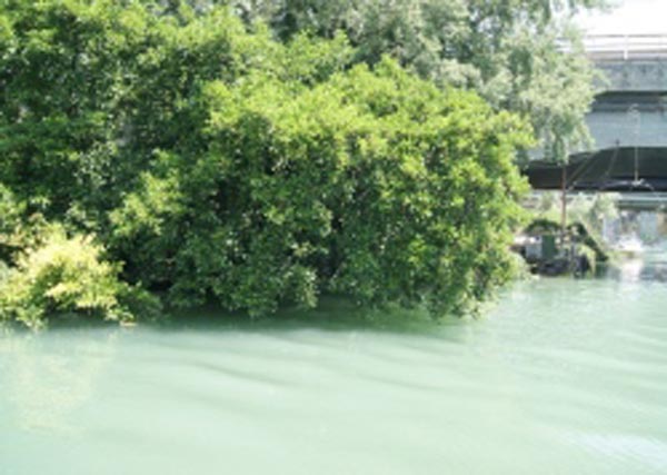 Fiume Sarno