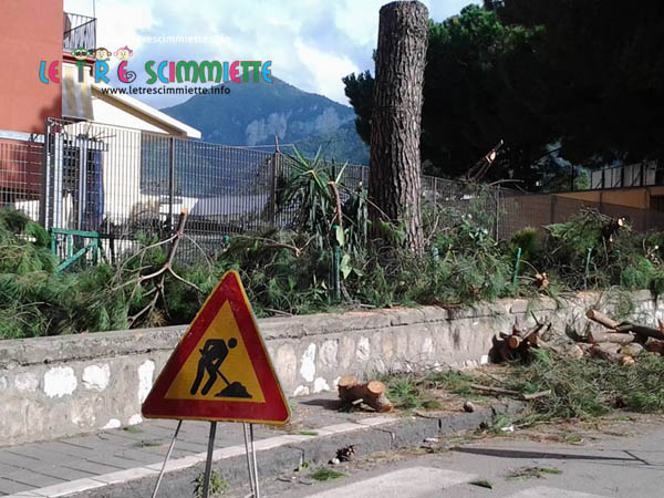 taglio alberi in via Cervinia 