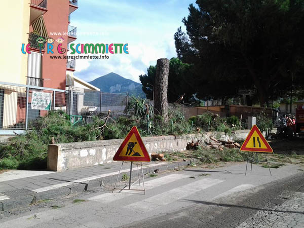taglio alberi in via Cervinia 